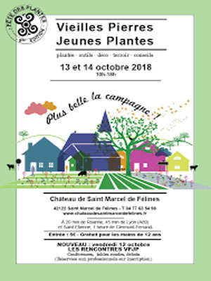 Vieilles Pierres Jeunes Plantes 2018