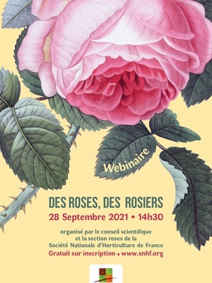 Des roses, des rosiers - webinaire