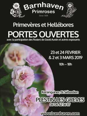 Week-end portes-ouvertes Barnhaven Primroses