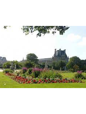 À la découverte du jardin des Tuileries