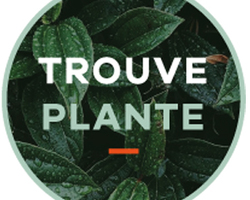 Trouve Plante